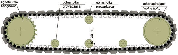 Opis gąsienicy